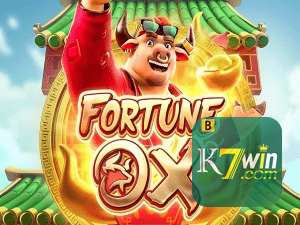 K7WIN login — painel de entrada no app oficial